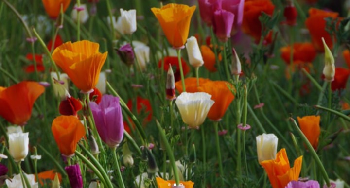 9BE8D70F-D0FA-4E39-A4B2-91E97CC4BD1C